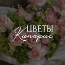 Кипарис | Цветы и шары