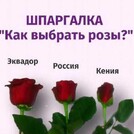 Аленький цветочек