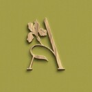 Аминелли