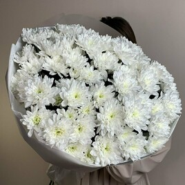 Хризантема кустовая, Упаковка