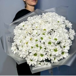 Хризантема кустовая, Упаковка