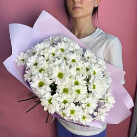 Хризантема кустовая, Упаковка