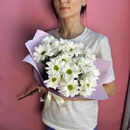 Хризантема кустовая, Упаковка
