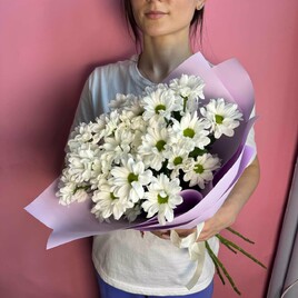 Хризантема кустовая, Упаковка