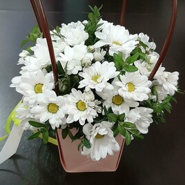 Хризантема кустовая, Фисташка, Сумочка