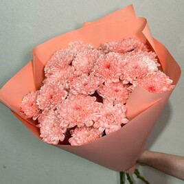 Хризантема кустовая, Упаковка