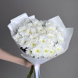 Хризантема кустовая, Упаковка