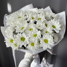 Хризантема кустовая, Упаковка