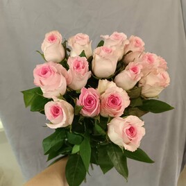 Роза Эквадор