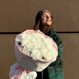 Хризантема кустовая, Тишь, Пленка матовая