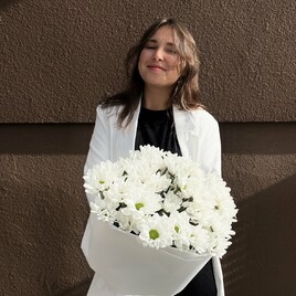 Хризантема кустовая, Тишью, Пленка матовая