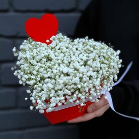 Сердце из гипсофилы в коробке