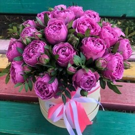 Коробка пионовидных роз
