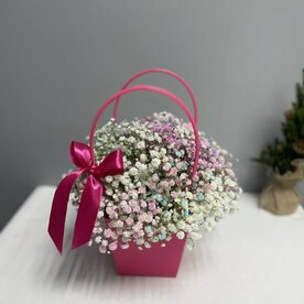 Гипсофилы в сумке