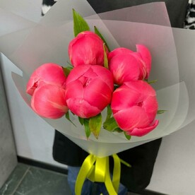 Пион Корал шарм