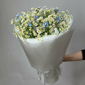 💕Нежный букет из ромашек и оксипеталума
