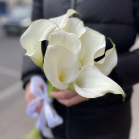 Калла белая
