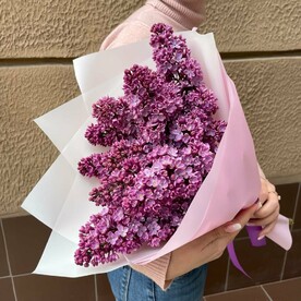 Сирень, Пленка матовая