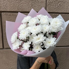 Хризантема кустовая, Пленка матовая