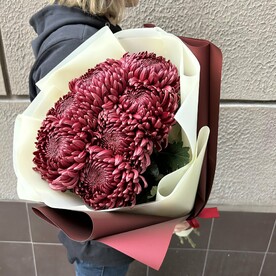 Букет живых цветов хризантема бигуди шоколадная