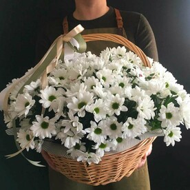 Корзина ромашек