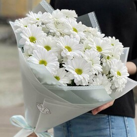 Хризантема кустовая, Дизайнерская упаковка