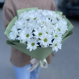 Хризантема кустовая, Дизайнерская упаковка