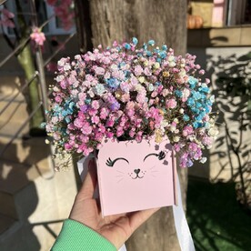 Кошечка с гипсофилой