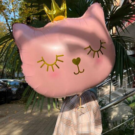 Кошечка принцесса