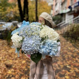Голубая мечта