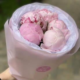 Пионы Сара розовые 5шт