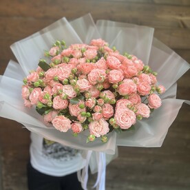 Пион розы сорт бомбастик 25 шт