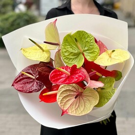 Антуриум Luxury Flowers яркий Микс
