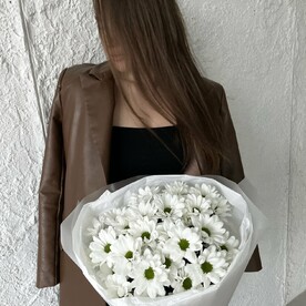 Ромашки/white