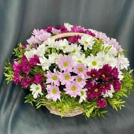 Хризантема кустовая, Фисташка, Корзина, Оазис
