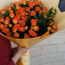 Рыжее солнце