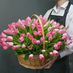 Тюльпан, Оазис, Корзина