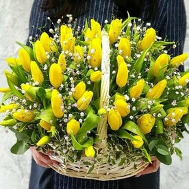 Тюльпаны, Гипсофила, Оазис, Корзина