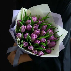 Тюльпан 🌷