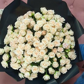 Овация