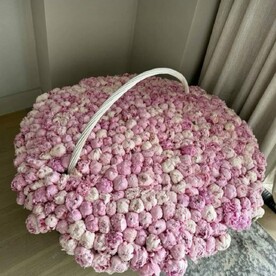 501 пион