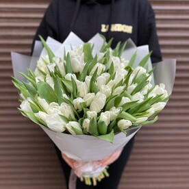 Вип букет из 51 белого тюльпана (моно 058)