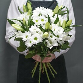 Хризантема кустовая, Лилия