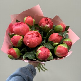 Пион корал шарм, Авторская упаковка
