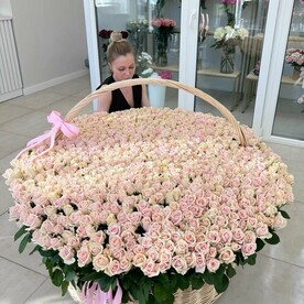 501 роза в корзине огромный подарок