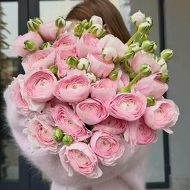 Букет из розовых ранункулусов