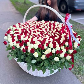 351 красно-белая роза в корзине