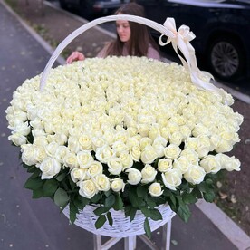 Корзина из 501 белой розы