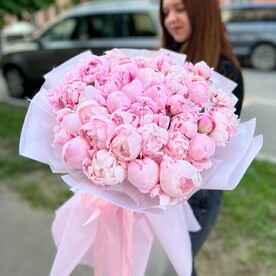 51 пион в нежном оттенке
