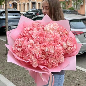 Гортензия в розовом оттенке
